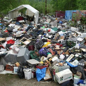 Trash Fame 