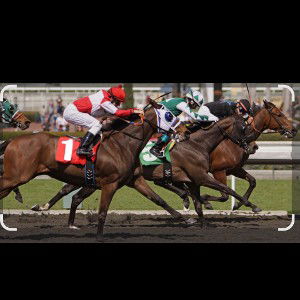 Jockey For Position