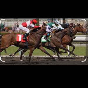 Jockey_For_Position
