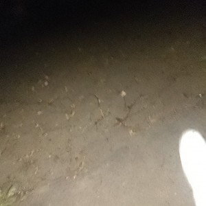 жизнь