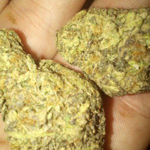 Medicine (Short Freestyle)