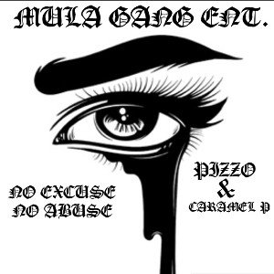  No Excuse No Abuse 