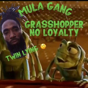GRASSHOPPER NO LOYALTY 