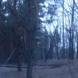 убирайся из страны