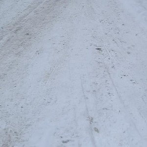 бобриная