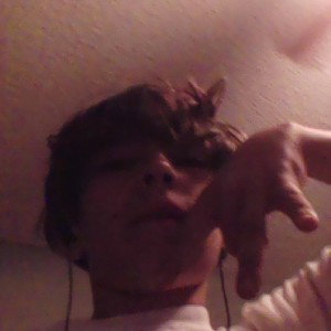 lol tryed