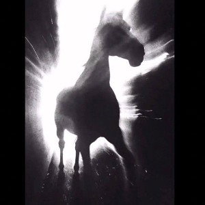 Freedom is coming (19:00:40)