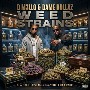 WEED STRAINS FT. DAME DOLLAZ(BEAT PROD. BY JOJO BEATS)
