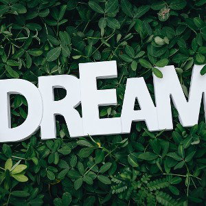 chasing my dreams