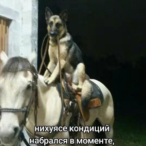жюдло-бобль  ft. plohoyluva 