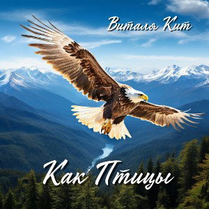 Виталя Кит - Как Птицы