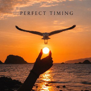 perfect timing 