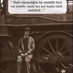 Soytarının günlüğü