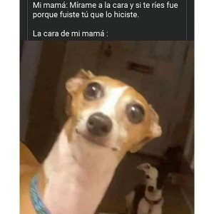 ya lo dice el título 