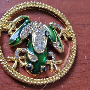 frog