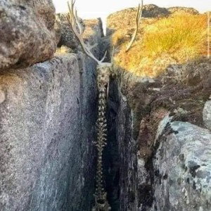 sin limites de nada 