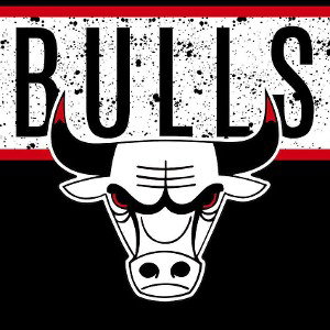 Los Chicago Bulls 🏀