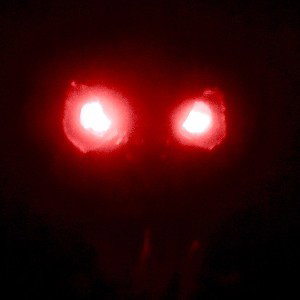 Deep Nightmare6
