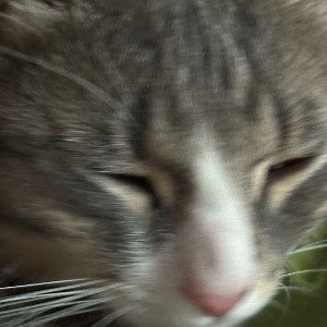 Drtuqcx