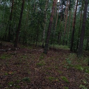 ад или рай  