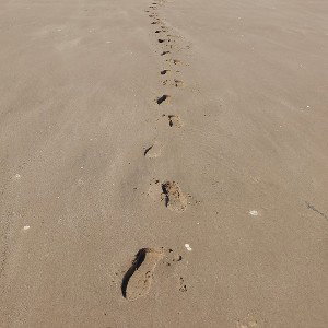 LP [Footsteps] 