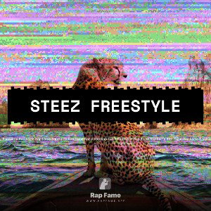 Steez freestyle 