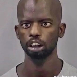 Stu 