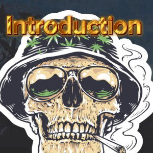 introduction to lil9mm 