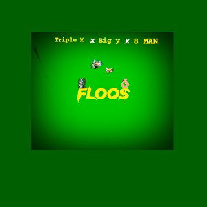 FLOOS
