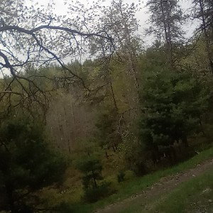 Trying Country (part 2) 