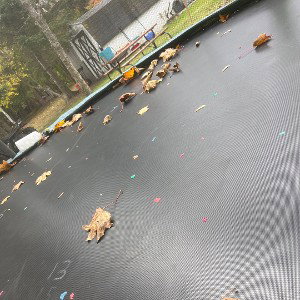 trampoline 