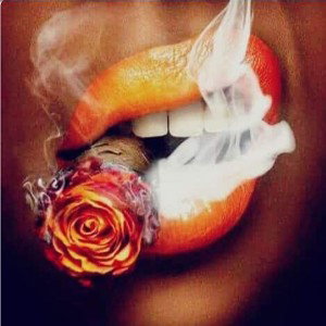 Candy