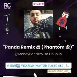 Panda Remix🐼(Phantom👻) 