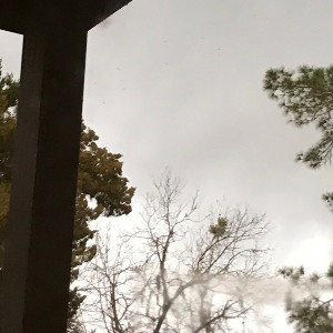 ef5