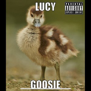 Lucy Goosie 