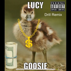 Lucy Goosie Drill 