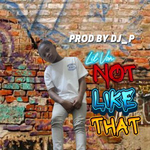 Lil Von not like that pt2 