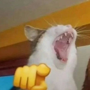 Кристалличиски похуй