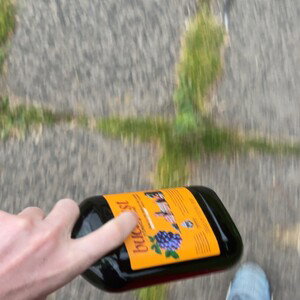 rat (kg tunes diss)