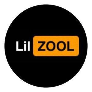 Lil ZOOL-Demo2