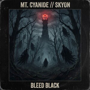 BLEED BLACK