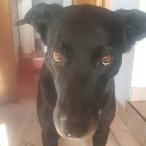 pour mon bébé 