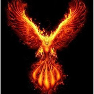 ___ DO YA REALLY WANNA ___ by PHOENIX THE CONTRARIAN 