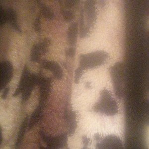 The truth hurts,
hard pill to swallow.
Leader of the pack,
I'll never follow.
You can't see that,
Where's ya head, Sleep