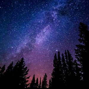 Star Shopping