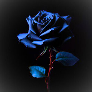 FLEUR DU MAL ( JO$MAN COVER)