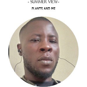 ORI MI