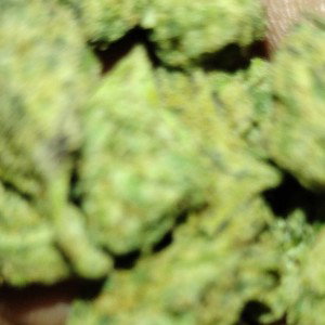 Santa Clause