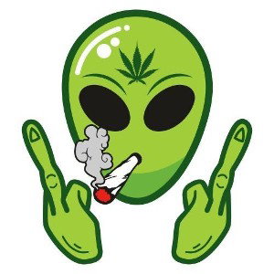 Carlitos el cultivador