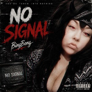No Signal 